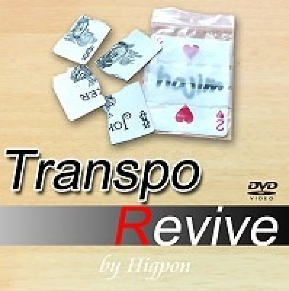 画像1: ＜ほぼ新品＞ひぐぽん「TRANSPO REVIVE」 (1)