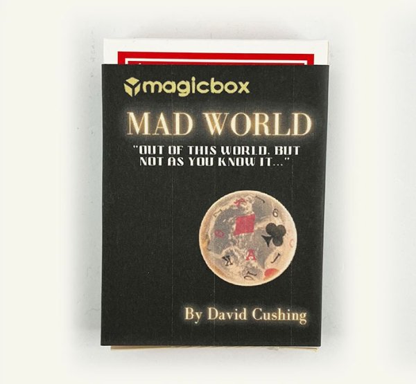 画像1: ＜ほぼ新品＞腹が立つアウトオブディスワールド「MAD WORLD」 (1)